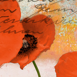 Poppies Comp Square II
