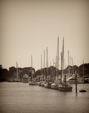 At the Marina II