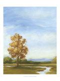 Summer Horizons V