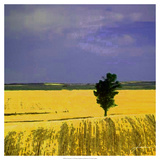 Farmscape I