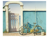 Beach Bike
