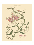 Blushing Pink Florals VI