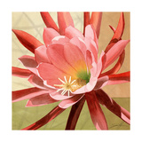 Desert Bloom I