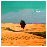 Farmscape II