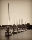 At the Marina I