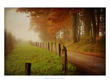 Foggy Morning on Hyatt Lane