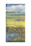 Shimmering Marsh I