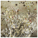 Weeds I