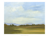 Summer Horizons III