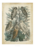 Nature's Gathering III