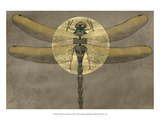Full Moon Serenade I