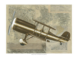 Tour by Plane I