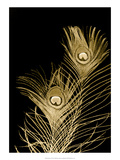 Plumes d'Or II