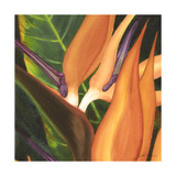 Bird of Paradise Tile I