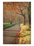 Morning on Sparks Lane III