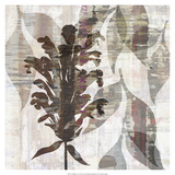 Wallflower IV