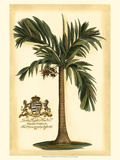 British Colonial Palm I
