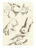Study of Hands