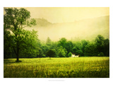 Farmhouse on Foggy Morn'