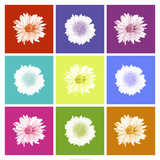 Vivid Bouquet