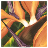 Bird of Paradise Tile II