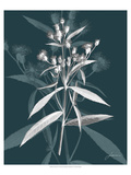 Jewel Stems I