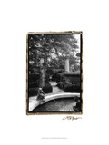 Garden Fountain I