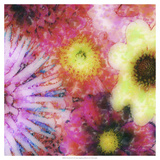 Floral Reef III