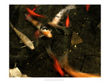 Goldfish Pond II