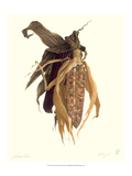 Maize