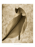 Comfort