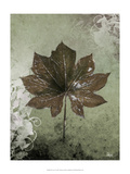Dry Leaf I