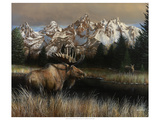 Teton Majesty