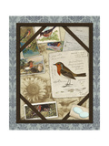 Bird Watching IV