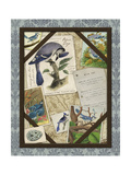 Bird Watching II