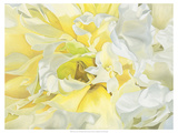 Peony Center