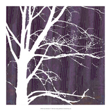 Aurora Silhouette IV