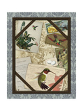 Bird Watching III