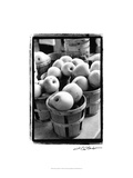 Farmer's Market IV