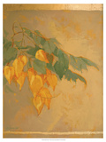 Golden Chains IV