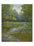 O'Bannon Creek