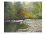 Quiet Reflection