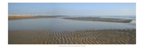 Beach Study III
