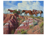 Colored Clay and Quarterhorses