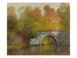 The Bridge
