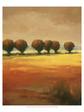Pollard Willow I