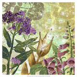 Foxglove Meadow II