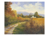 Autumn Country Road