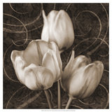 Tulip and Swirls II