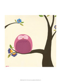 Orchard Owls VI